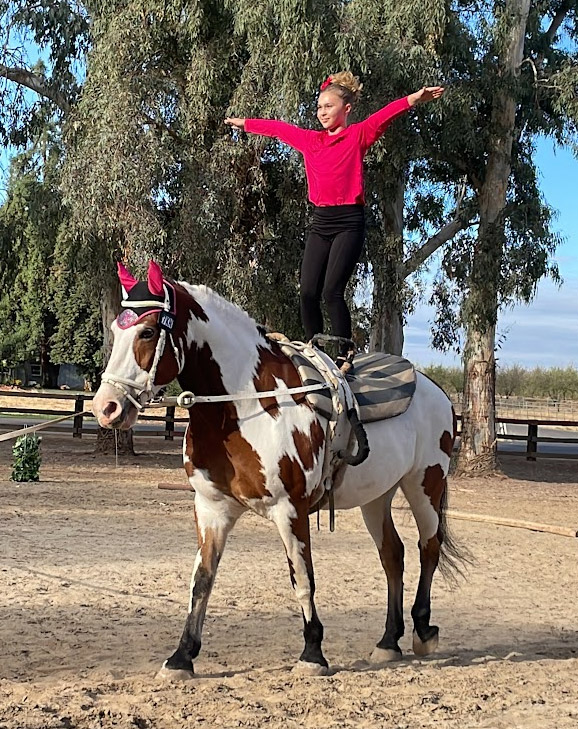 What is equestrian vaulting?
