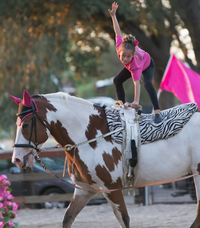 What is Vaulting?