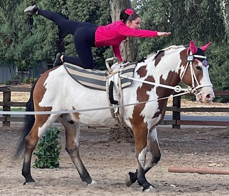 join-starlite-vaulters-image-1 Join Starlite Vaulters Image 3