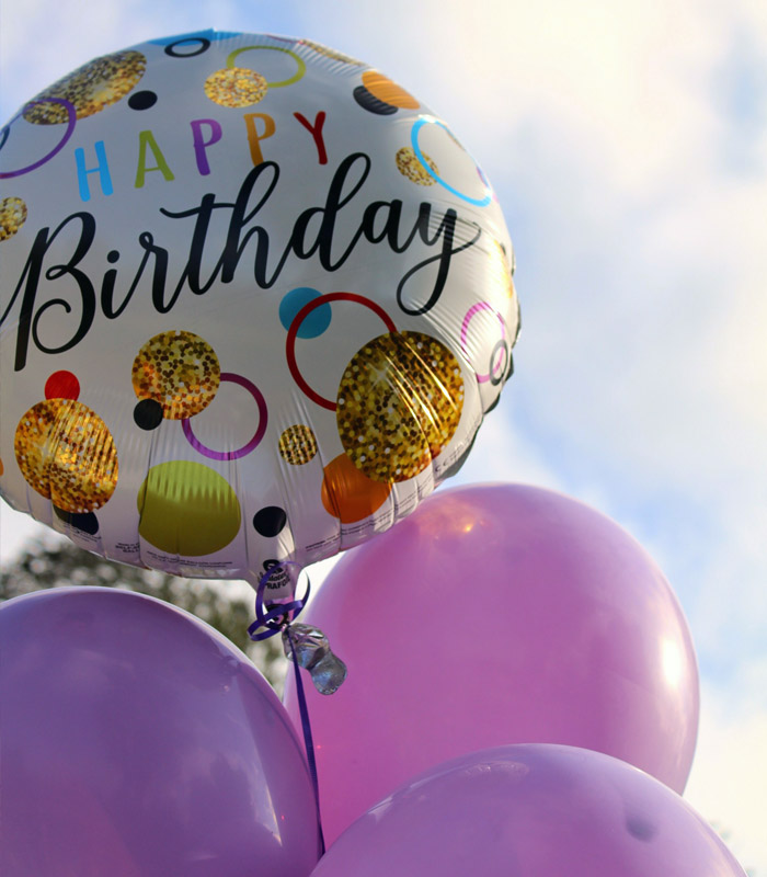 Starlite Vaulters Birthday Party Services